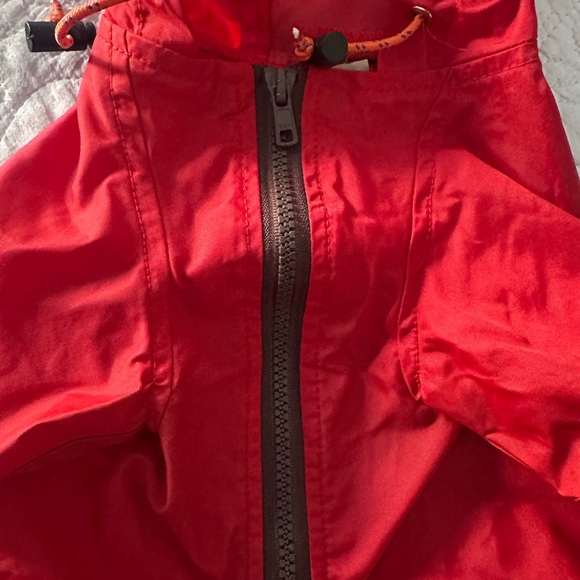 Red Dog Raincoat - Picture 6 of 8
